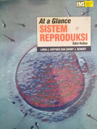 Image of At a Glance : Sistem Reproduksi - Edisi Kedua